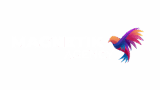 Magnetik Agency